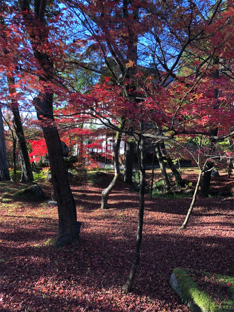 f:id:Blue_Sky_Blue:20211127202259j:image