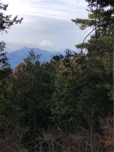 f:id:Blue_Sky_Blue:20220203210247j:image