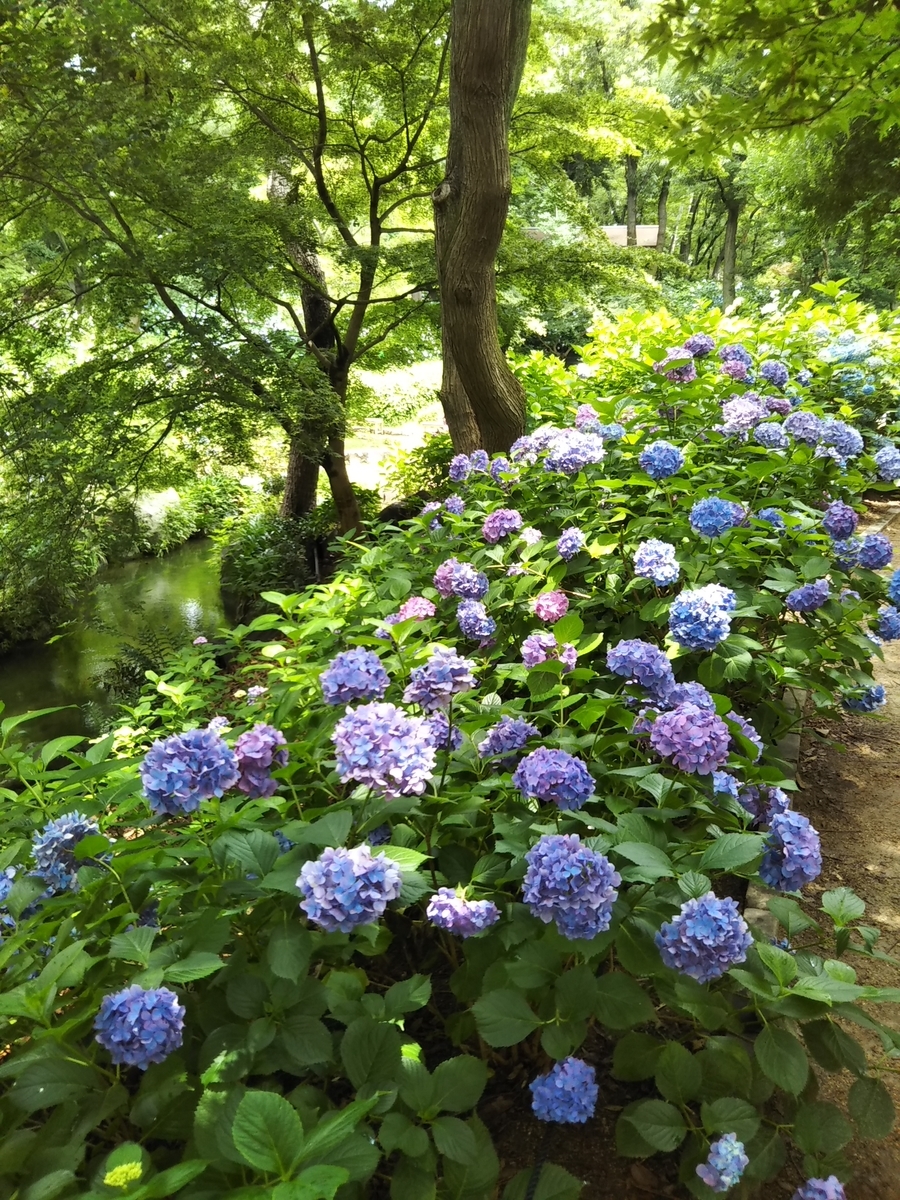 f:id:Blue_green:20200713204156j:plain