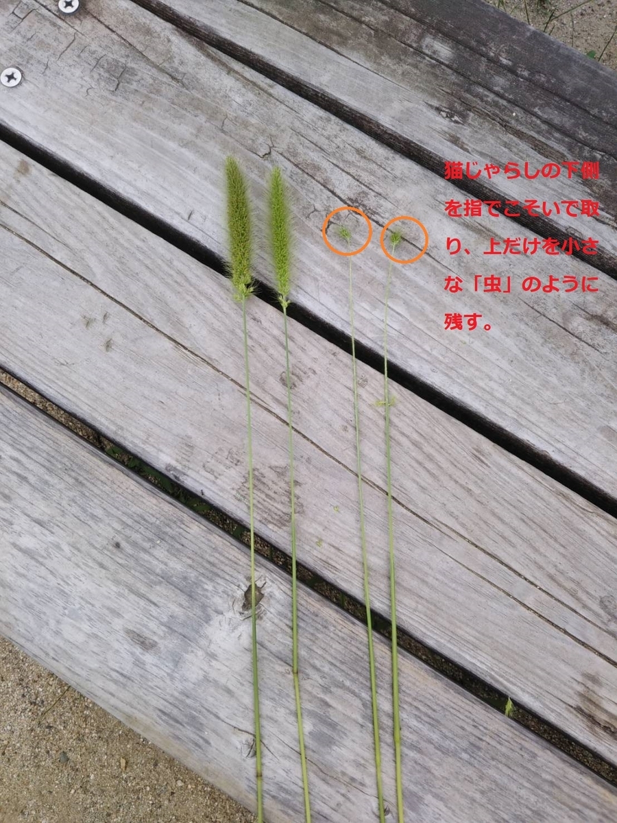 f:id:Blue_green:20200811214524j:plain