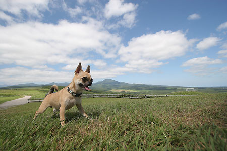 f:id:Blueforce:20060730010113j:image f:id:Blueforce:20060730010113j:image