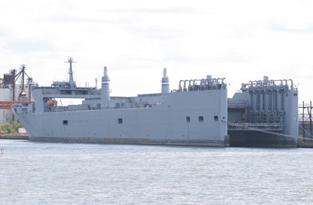 ケープ・メイCape May T-AKR-5063