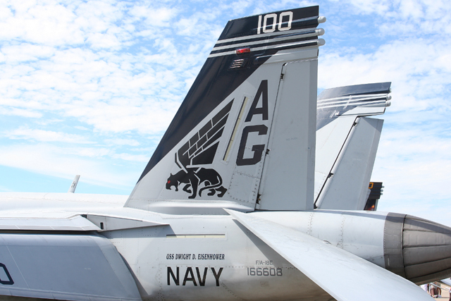 トム猫　戦闘機　VFA−143 F/A−18E 166609 100 トム猫 戦闘機 VFA−143 F/A−18E 166609 100 ファインモールド 1/72