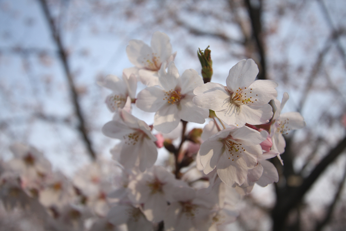 f:id:Blueforce:20080331022730j:image f:id:Blueforce:20080331022730j:image