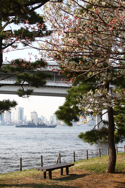f:id:Blueforce:20080406234540j:image