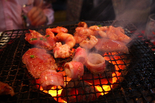 f:id:Blueforce:20081108185712j:image