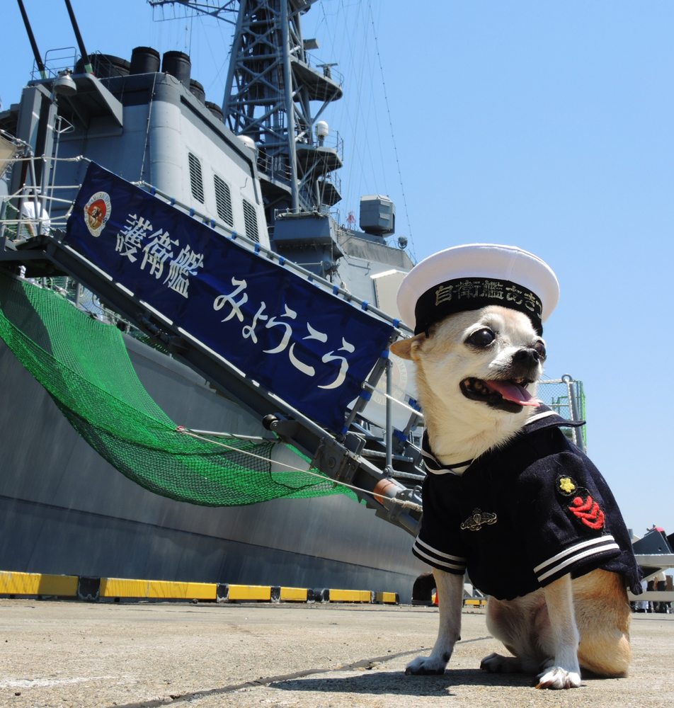 f:id:Blueforce:20150715095920j:image:w550