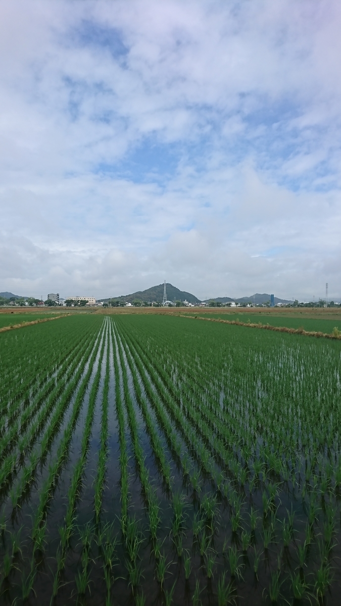 f:id:BluesFukami:20190608132043j:plain f:id:BluesFukami:20190608132043j:plain