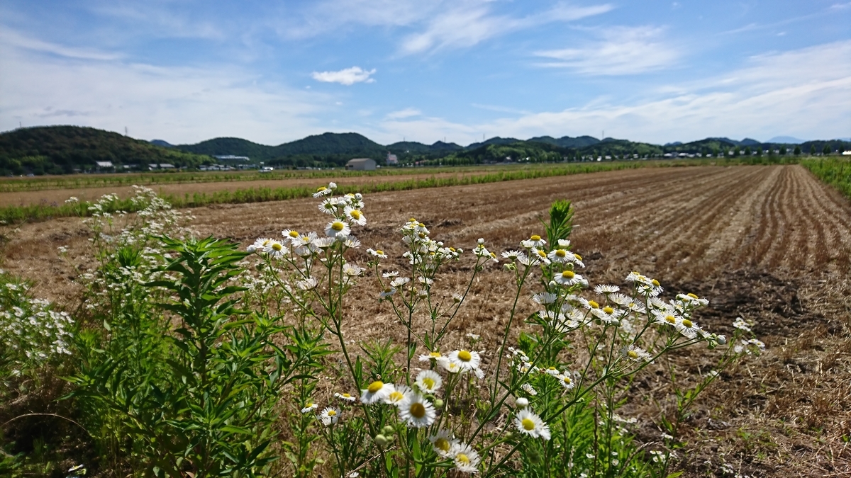 f:id:BluesFukami:20190622110145j:plain f:id:BluesFukami:20190622110145j:plain