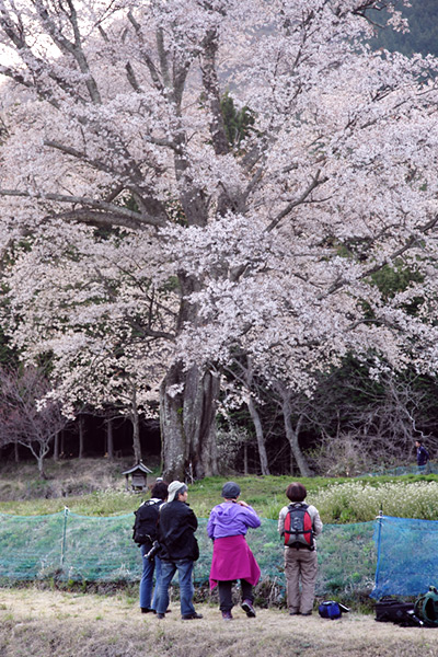 f:id:Bluesboy:20150426223609j:plain f:id:Bluesboy:20150426223609j:plain