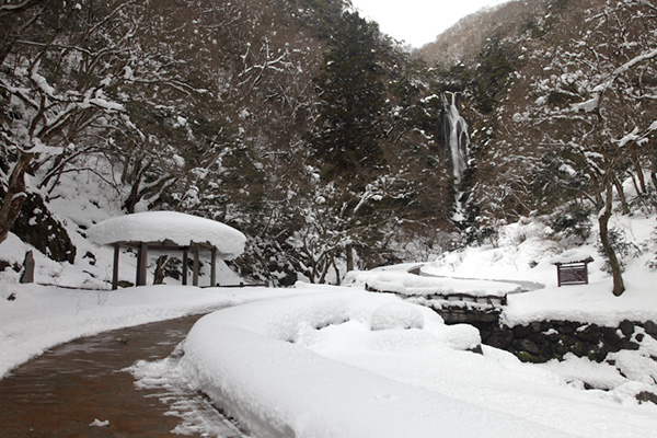 f:id:Bluesboy:20170125213619j:plain f:id:Bluesboy:20170125213619j:plain