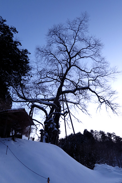 f:id:Bluesboy:20170129032227j:plain