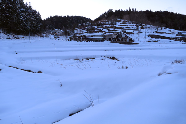 f:id:Bluesboy:20170129032712j:plain