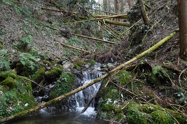 f:id:Bluesboy:20170329233905j:plain