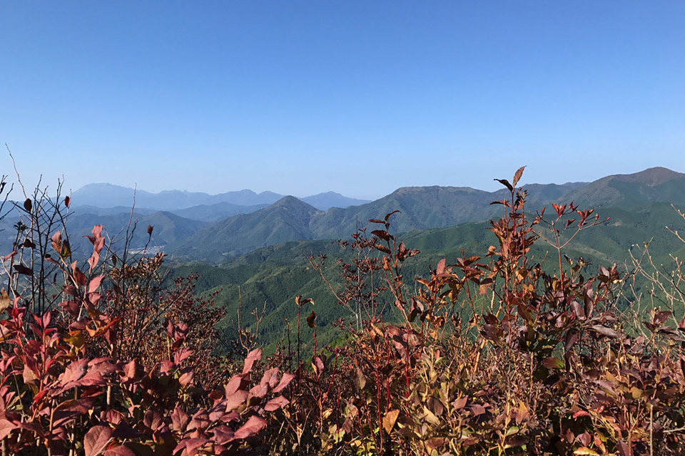 f:id:Bluesboy:20171030182244j:plain f:id:Bluesboy:20171030182244j:plain