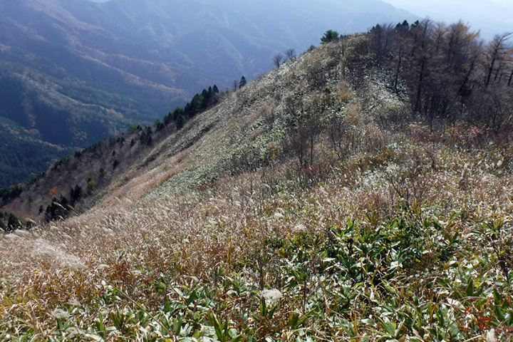 f:id:Bluesboy:20171113140136j:plain f:id:Bluesboy:20171113140136j:plain