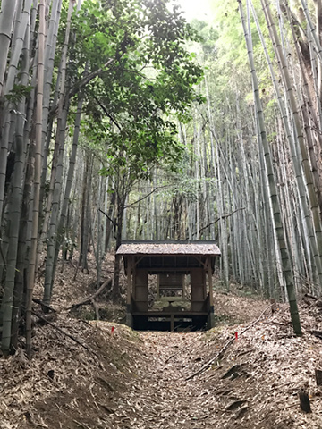 f:id:Bluesboy:20171119181014j:plain f:id:Bluesboy:20171119181014j:plain