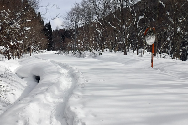 f:id:Bluesboy:20180203090829j:plain f:id:Bluesboy:20180203090829j:plain