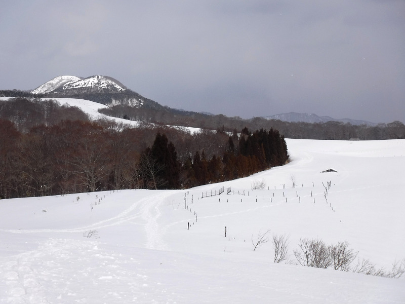 f:id:Bluesboy:20180228155745j:plain