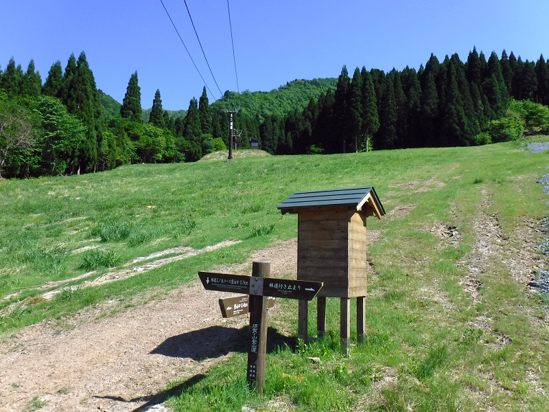 f:id:Bluesboy:20180524165204j:plain f:id:Bluesboy:20180524165204j:plain