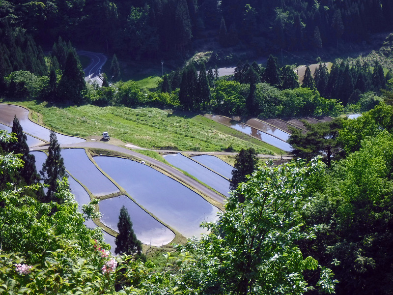 f:id:Bluesboy:20180524171602j:plain f:id:Bluesboy:20180524171602j:plain