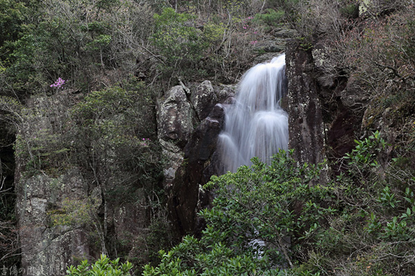 f:id:Bluesboy:20180612132425j:plain f:id:Bluesboy:20180612132425j:plain