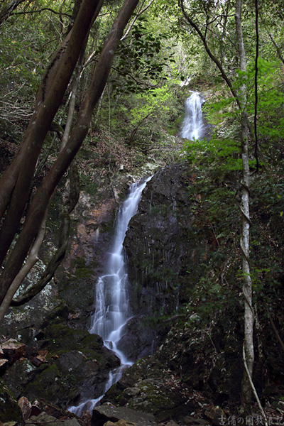 f:id:Bluesboy:20180612134025j:plain f:id:Bluesboy:20180612134025j:plain