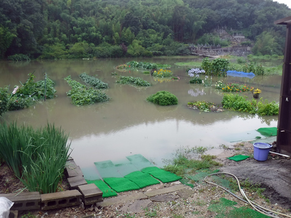 f:id:Bluesboy:20180707170819j:plain