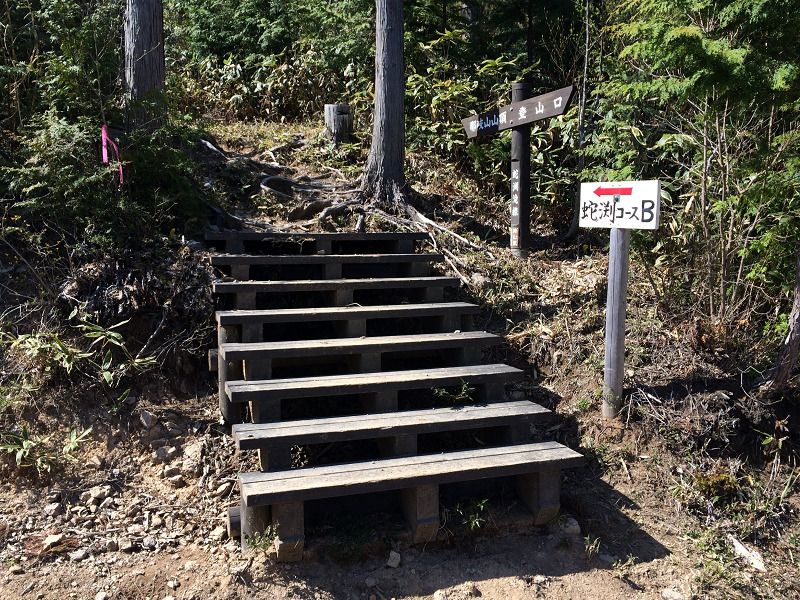 f:id:Bluesboy:20181205192937j:plain f:id:Bluesboy:20181205192937j:plain