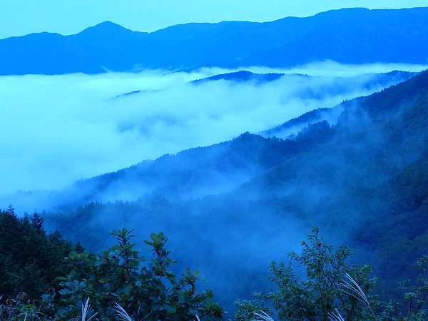 f:id:Bluesboy:20191127201616j:plain