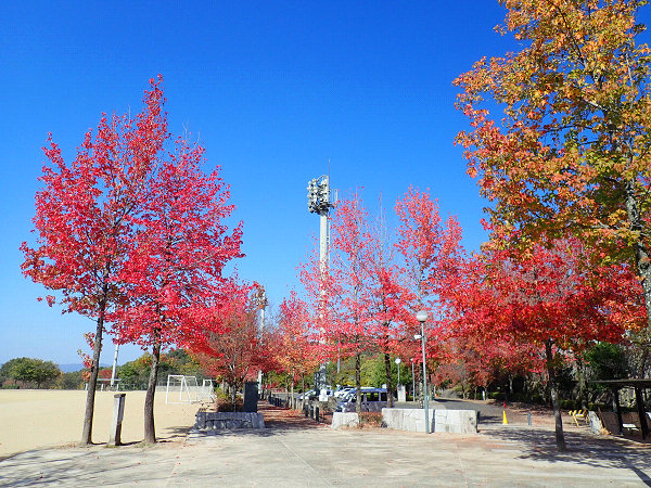f:id:Bluesboy:20191202174750j:plain f:id:Bluesboy:20191202174750j:plain