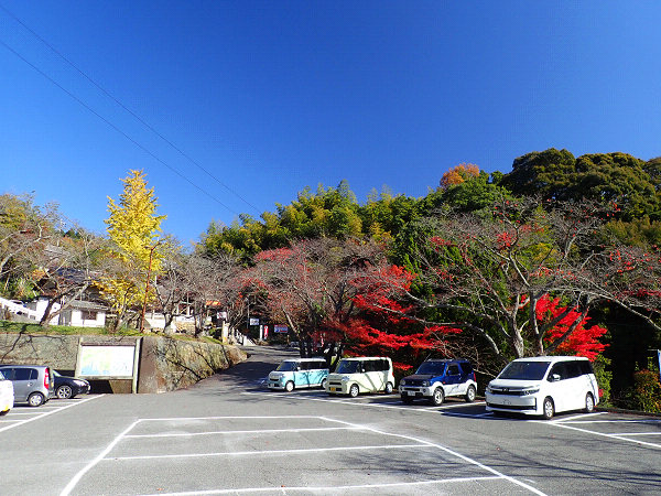 f:id:Bluesboy:20191202175933j:plain
