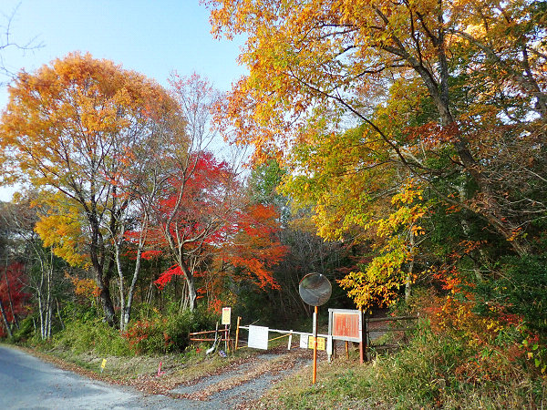 f:id:Bluesboy:20191202180951j:plain f:id:Bluesboy:20191202180951j:plain