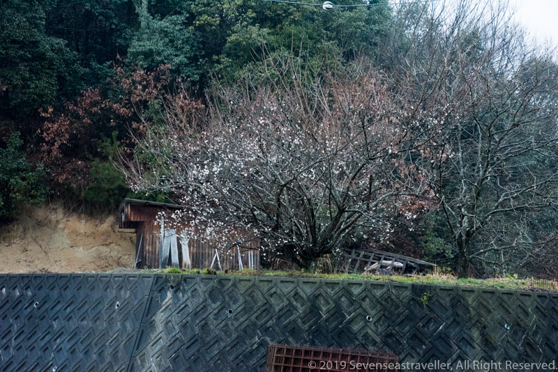 f:id:Blueshark3270:20190219192731j:plain