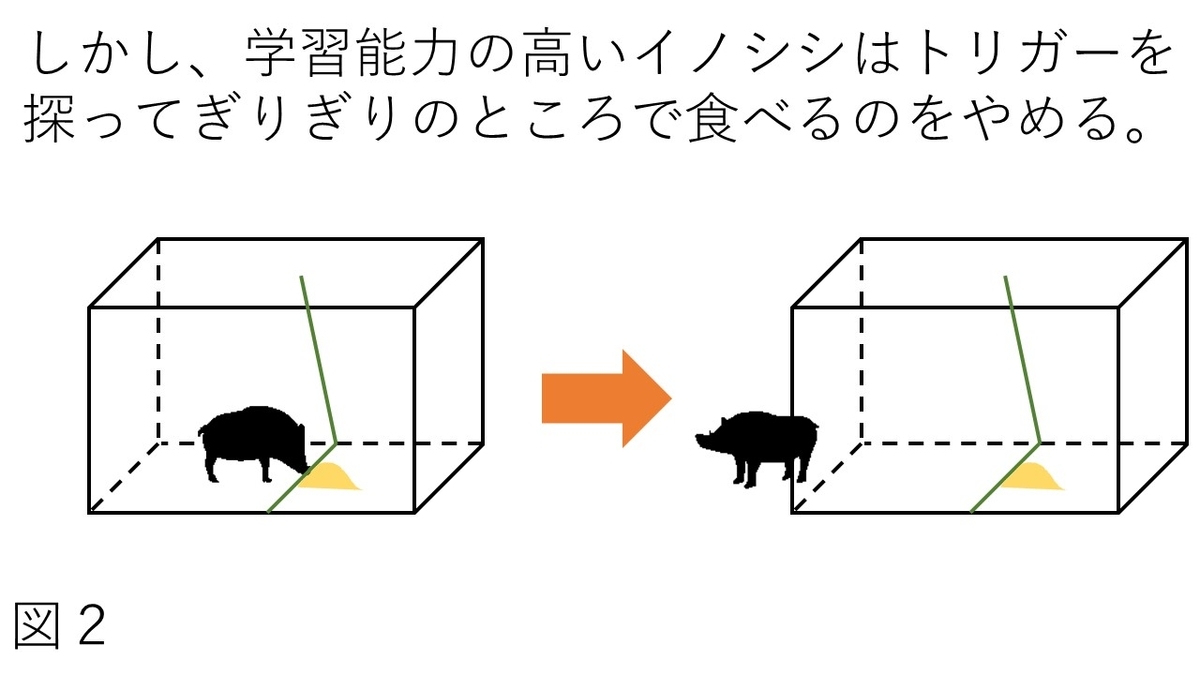 f:id:Bluish-Gray:20190430101638j:plain f:id:Bluish-Gray:20190430101638j:plain