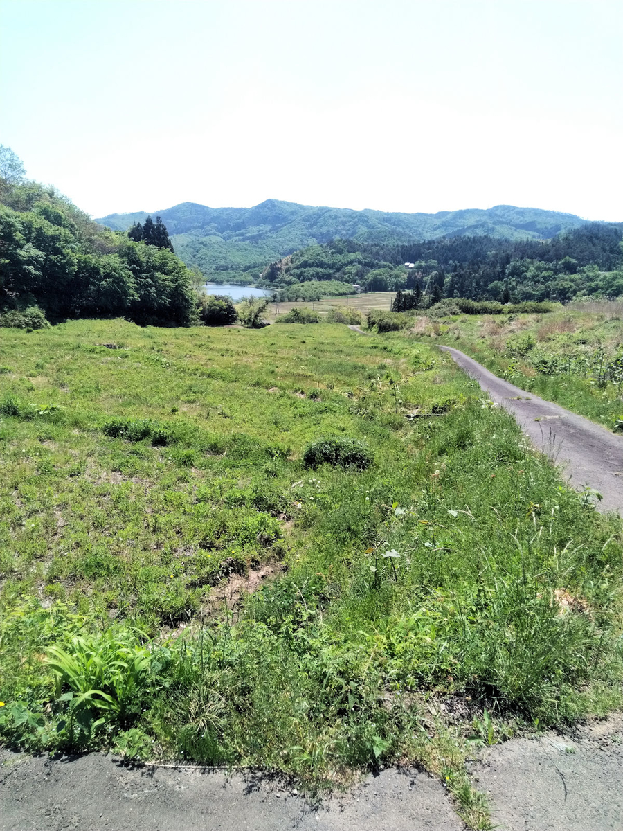 f:id:Bluish-Gray:20190512101938j:plain f:id:Bluish-Gray:20190512101938j:plain