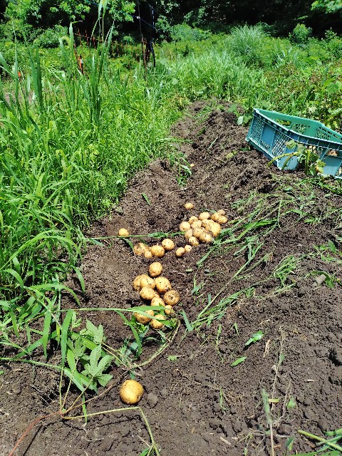 f:id:Bluish-Gray:20250720114723j:image