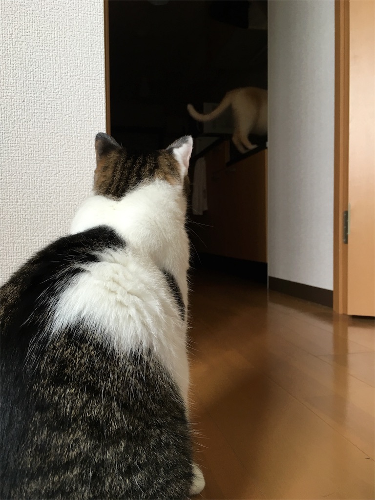 f:id:BmCRY05:20160912115945j:image