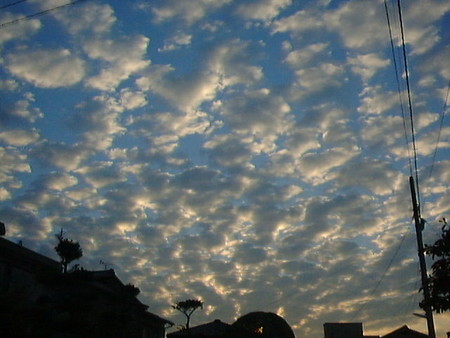f:id:Boaz:20061030043421j:image
