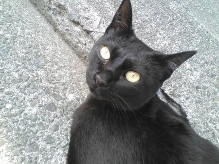 f:id:Boaz:20110509035927j:image:w360