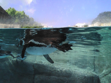 f:id:Boaz:20120505042213j:image