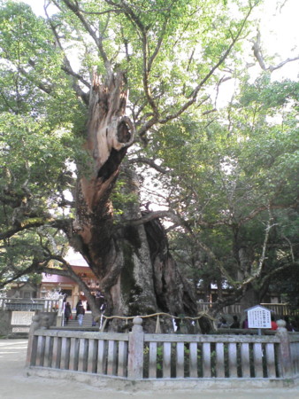 f:id:Boaz:20170107061737j:image:w460 f:id:Boaz:20170107061737j:image:w460