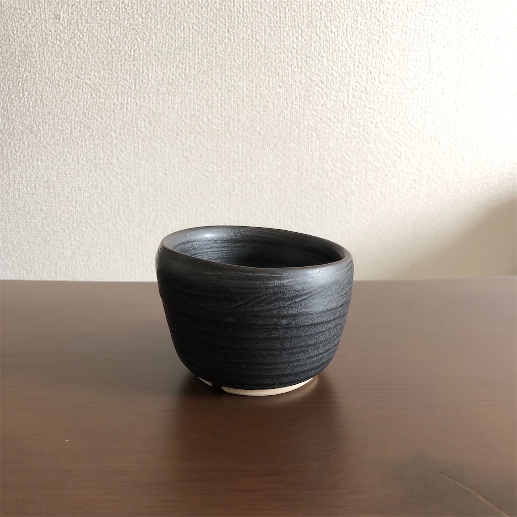 f:id:Bob_PLANTS:20211016111851j:image f:id:Bob_PLANTS:20211016111851j:image