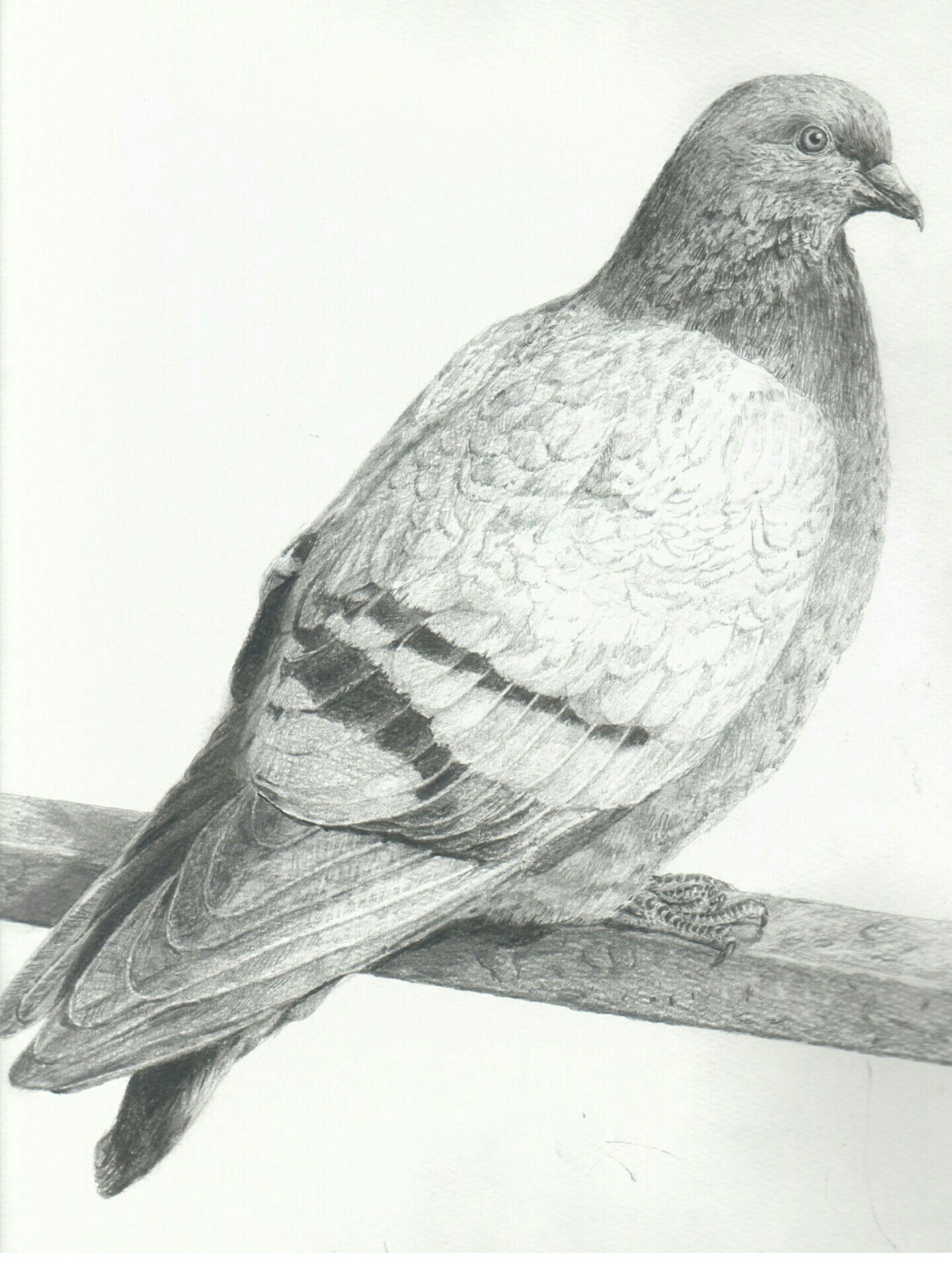 f:id:Bobin:20180526205431j:plain