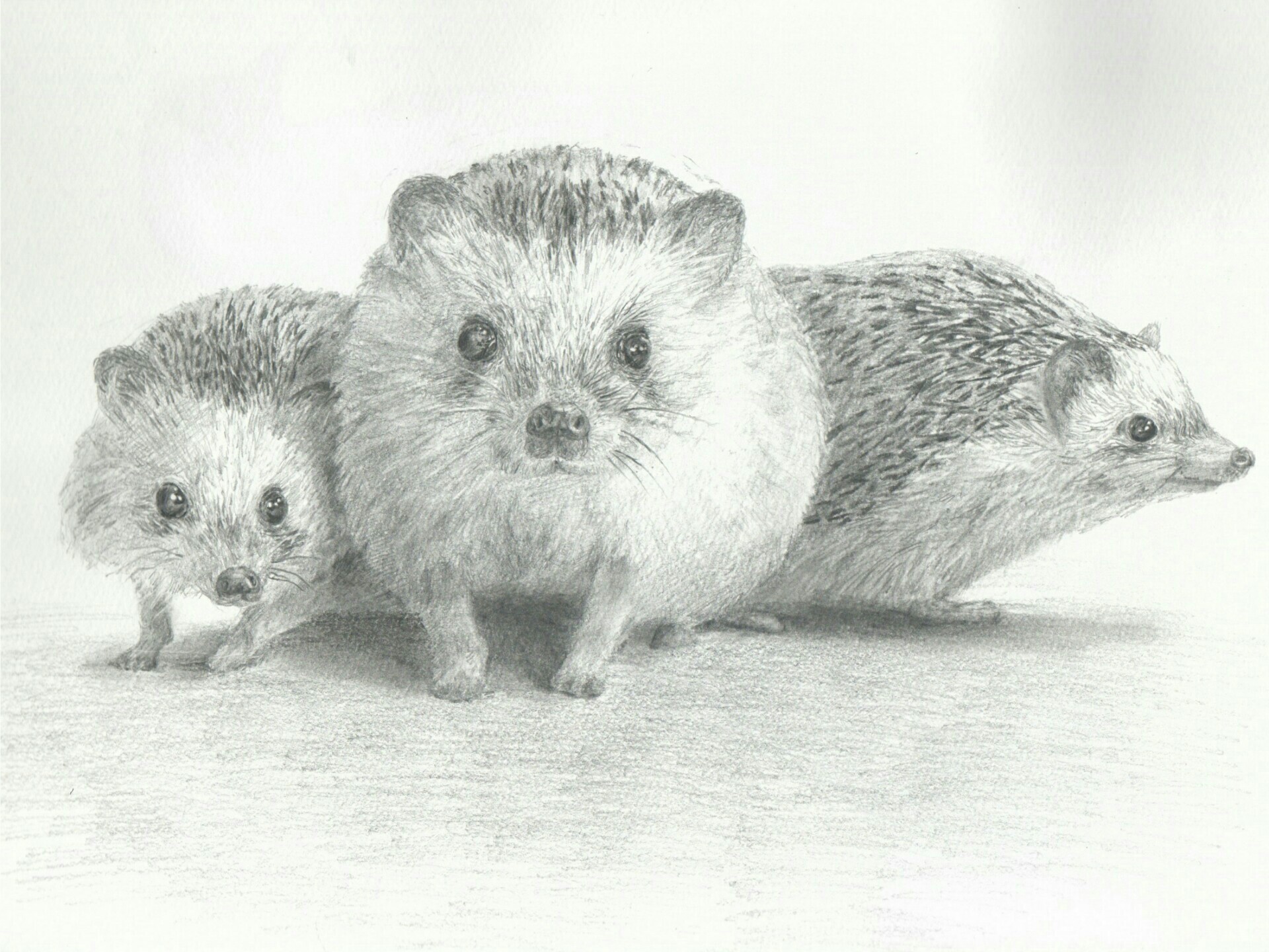 f:id:Bobin:20180526205438j:plain