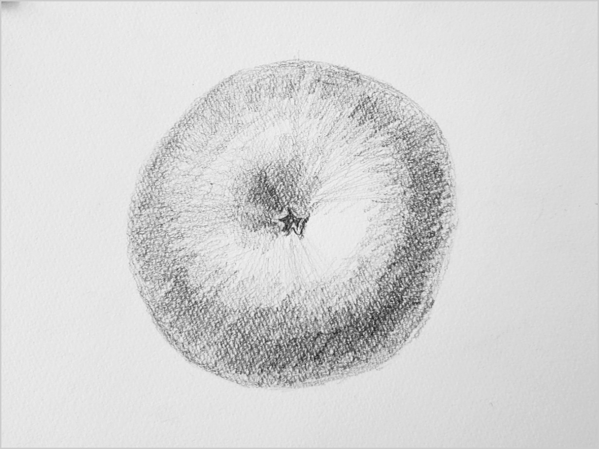 デッサン】色んな角度からリンゴを描く - BOBIN