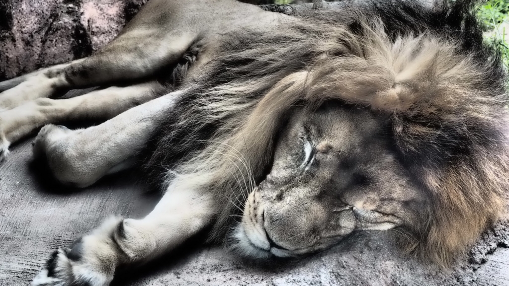 f:id:BobosuBlog:20160807111636j:plain