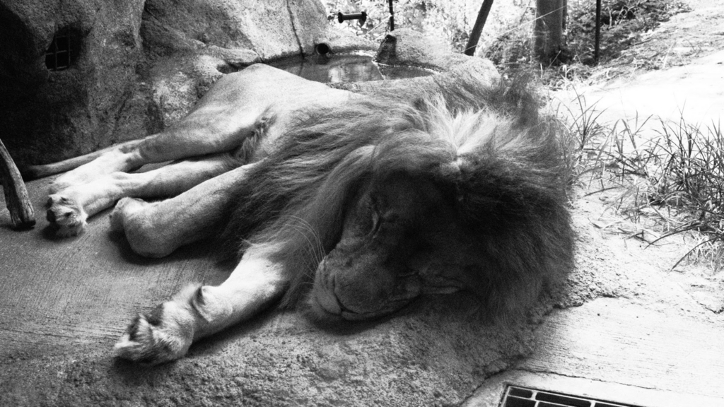 f:id:BobosuBlog:20160807111801j:plain