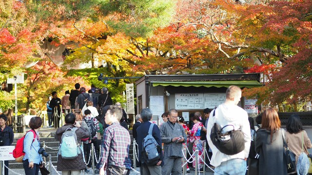 f:id:BobosuBlog:20161112193831j:image