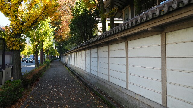 f:id:BobosuBlog:20161112194644j:image
